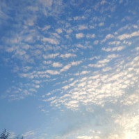 篮球的 欧洲步教学