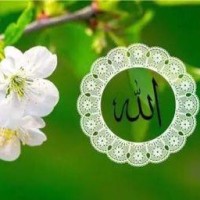 亡人马有德老阿訇演讲 - 腾讯视频