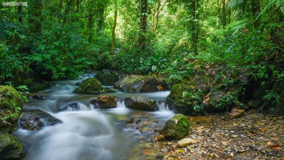 ���ϱ�����Ƭ�����ȴ����֣�������ʯͷ�������ٲ����С����ӡ��