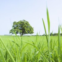 网络监控摄像头安装视频教程(录像机+交换机+