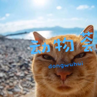 海吉拉cut,文棠生x刘宛婷-初恋