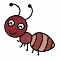 姚劲波一人挑战房天下,汽车之家,智联招聘,优信