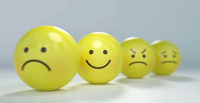 dremotion最新文章