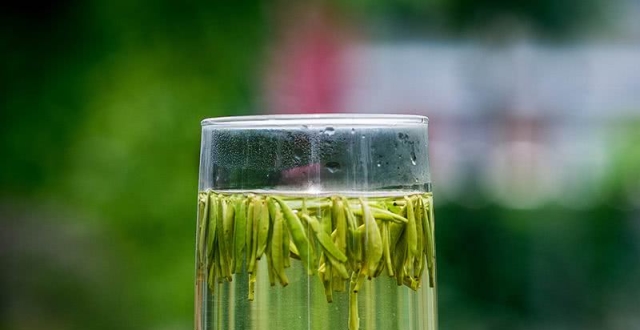 沐七闲语最新文章