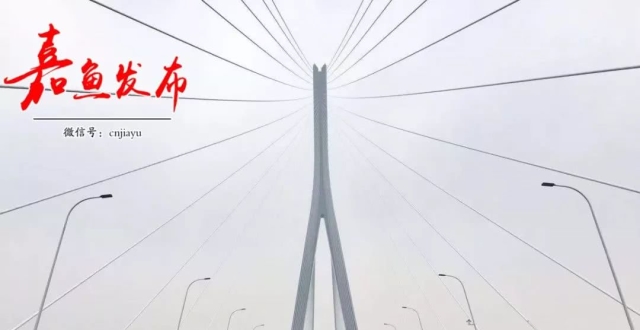 簰洲长江大桥开工图片