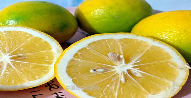 酸酸的柠檬是个宝!细数柠檬的几个功效