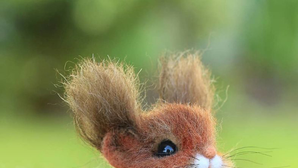 ��������ëձ����ȷ����ѣ�ÿֻ��ʱ����20Сʱ