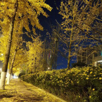 零基础就可以学吉他万能和弦连接弹唱无数流行