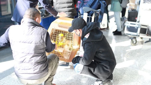 ����Ů���ֳ蹷���������߲��밮�� װ��͵������������ĸ���