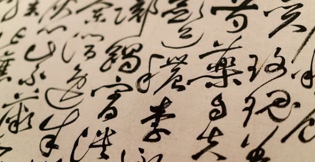 《语言文字周报》执行主编杨林成：认读繁体字，主要是少数专家的事_腾讯新闻