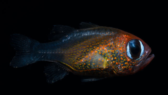 �����������10�����ﶼ����2019�걻�·��ֵ�