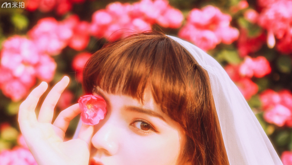 Jet������Ǿޱ��