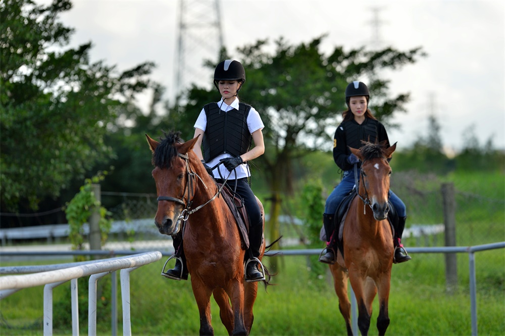 【珠海平沙骑马场】来菲尔马术感受非凡的马术体验!