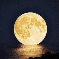 北京紫竹院《心上的罗加20191123》广场舞,歌