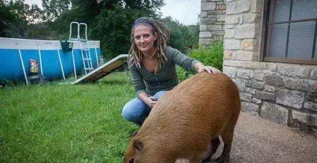 美女高管遭海盗劫杀,敢死队上巨鼠岛搜救,人鼠大战,结果