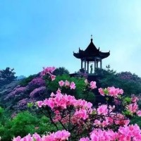 看麻城人在富士康的新年开工庆典是怎样的