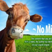 电视剧欲爱中的男人,简单了当的进攻,瞬间征服