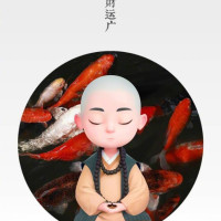 最像鸡的动物和植物是什么?