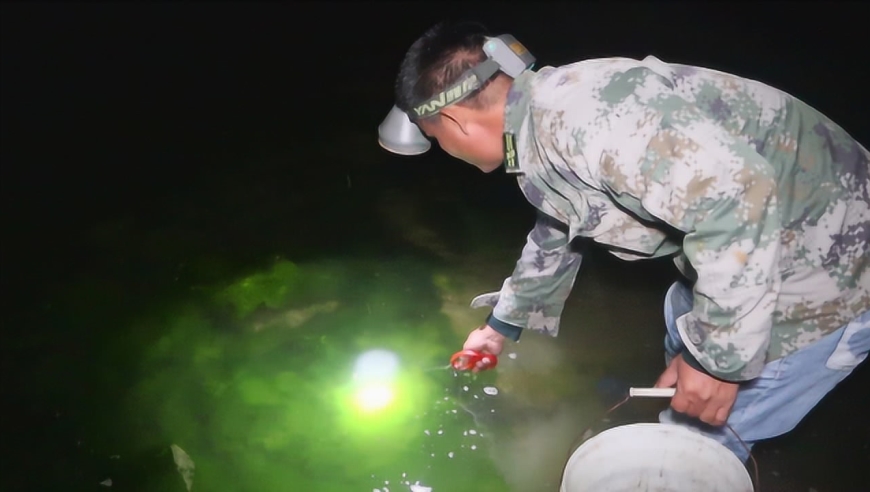 老四半夜去赶海抓螃蟹,抓蟹比捡钱还容易,老四抓到忙不过来