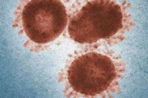 国家卫健委：启动重大级别应急响应后 可进行疫区确定和封锁