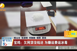 因欠网贷没钱还 为赚运费运输冰毒