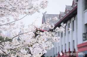 解答口腔医学报名条件，招生要求是什么？