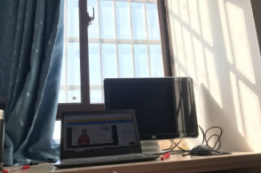 新疆各中小学不得强行要求每天上网“打卡”