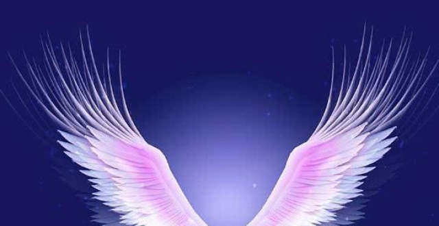 心理测试:4双翅膀,你最想拥有哪双?测你2020年会收获什么