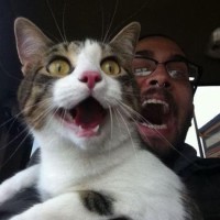 女子穿越古代帮娘娘设计礼服,帮娘娘在宫装大