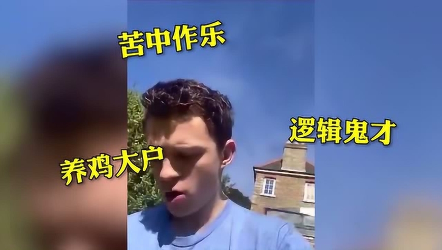 疫情严重买不到鸡蛋 荷兰弟决定自己养鸡 网友:"鸡蛛侠"