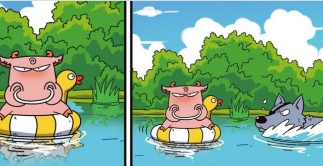 呆头农场:么么游泳用救生圈卡住一只鸭,天上的太阳显示不出来