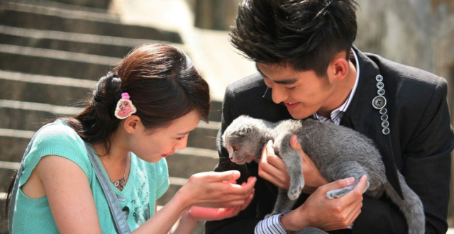 "明明有真功夫,却不拍功夫片"的明星,张一山没啥,看到韬韬:没搞错?