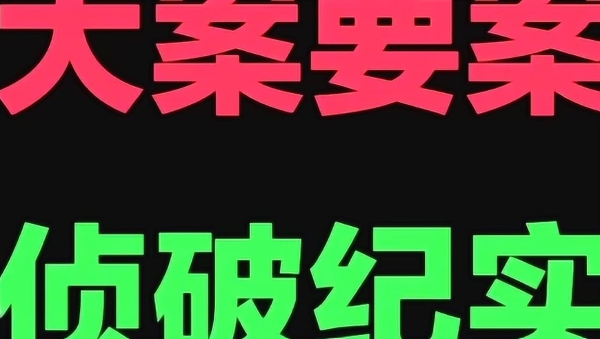 白板兒媳,大案要案破案 天網恢恢 疏而不漏偵破