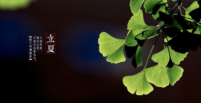 春去夏来,今已立夏,万物生长,把握当下