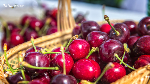 ��һ�ڷų���ҡ�С���ޡ����š������ˡ�ӣ�Ҵ����� ����ӣ��