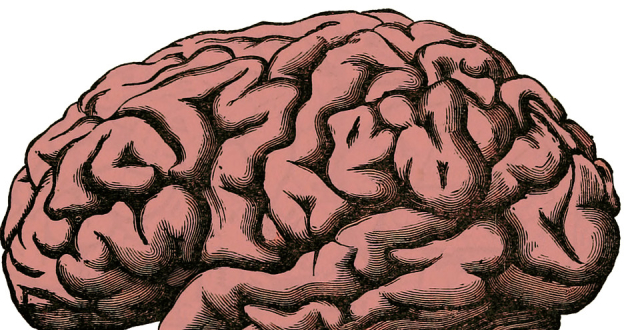 科学家挖出一颗2600年前的大脑,发现还活着,不可思议