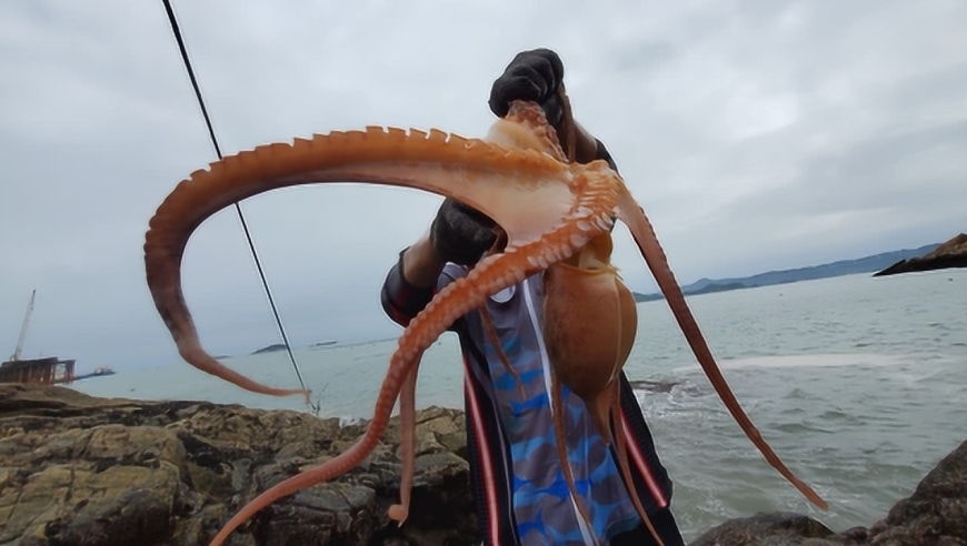 靠近核电站的深水坑发现成精的巨型八爪鱼,小明大叫这是变异了吗