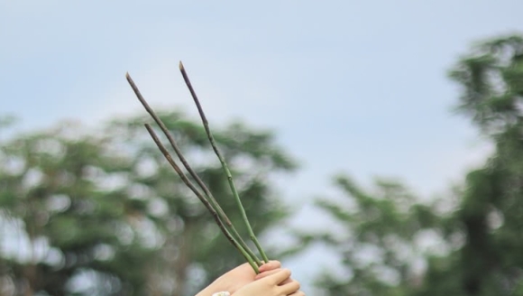 �����������ˣ�������Ż����棡��