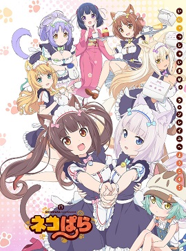 猫娘乐园第一季樱花动漫 百度云 在线播放 紫可可