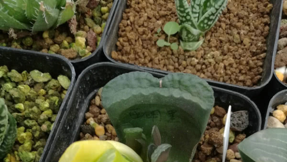 ���˶����ʮ���������ڲ��ܿ��������ǵ�����