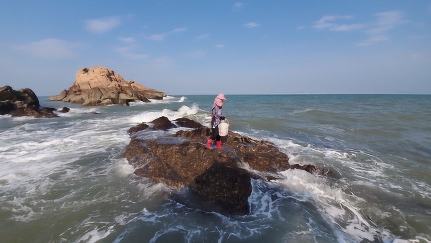 大退潮后难得出现的岛礁,村花登岛赶海却不料被困岛上,小明慌了