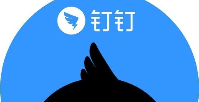 白佰栢最新文章