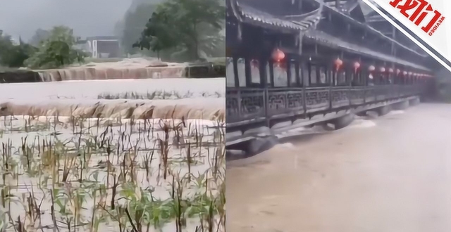 湖南迎入汛来最强降雨：多地农作物受灾 湘西网红风雨桥水位逼近桥面