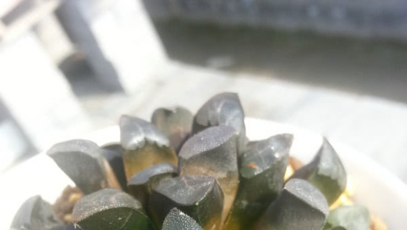 ��̫���µ�ʮ��������Щ������ĺ����ȣ�