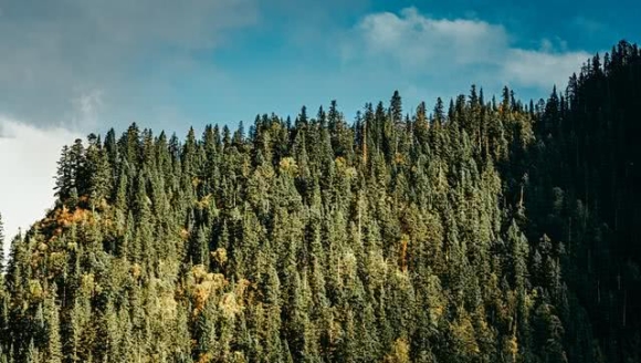 ��;�еķ����Ӱ������Ҳ���ȥ����