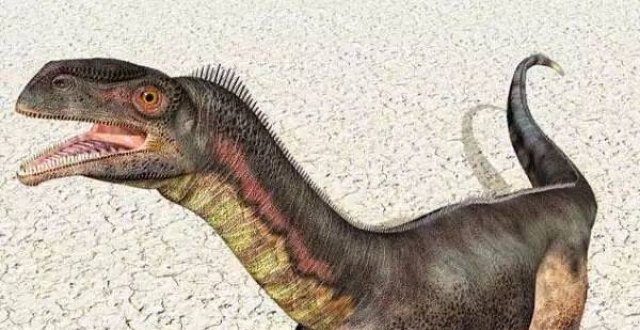 三叠纪最大的恐龙:板龙