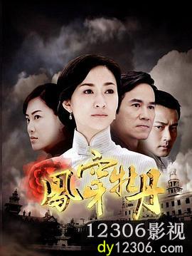 凤穿牡丹