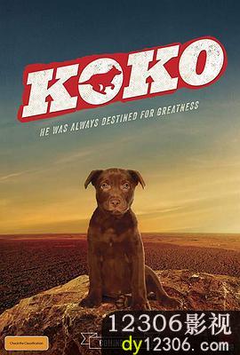 Koko:红犬历险记