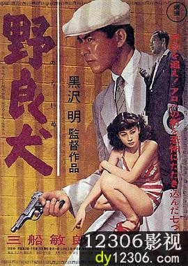 野良犬1949在线观看