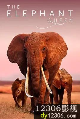 大象女王